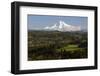 Mount Hood, Jonsrud Viewpoint, Sandy, Oregon, USA-Michel Hersen-Framed Photographic Print