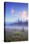 Mount Hood Misty Meadow-Vincent James-Stretched Canvas