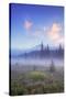 Mount Hood Misty Meadow-Vincent James-Stretched Canvas