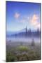Mount Hood Misty Meadow-Vincent James-Mounted Photographic Print