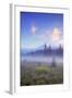 Mount Hood Misty Meadow-Vincent James-Framed Photographic Print