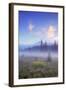 Mount Hood Misty Meadow-Vincent James-Framed Photographic Print