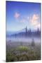 Mount Hood Misty Meadow-Vincent James-Mounted Photographic Print