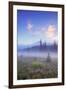 Mount Hood Misty Meadow-Vincent James-Framed Photographic Print