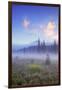 Mount Hood Misty Meadow-Vincent James-Framed Photographic Print