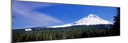Wood Mount