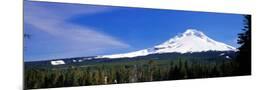 Wood Mount