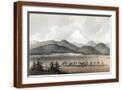 Brown Frame