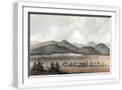 White Frame