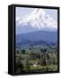 Mount Hood over Houses Scattered amongst Orchards and Firs, Pine Grove, Oregon-Don Ryan-Framed Stretched Canvas