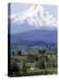 Mount Hood over Houses Scattered amongst Orchards and Firs, Pine Grove, Oregon-Don Ryan-Stretched Canvas