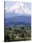 Mount Hood over Houses Scattered amongst Orchards and Firs, Pine Grove, Oregon-Don Ryan-Stretched Canvas