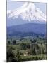 Mount Hood over Houses Scattered amongst Orchards and Firs, Pine Grove, Oregon-Don Ryan-Mounted Photographic Print