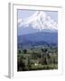 Mount Hood over Houses Scattered amongst Orchards and Firs, Pine Grove, Oregon-Don Ryan-Framed Photographic Print