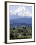 Mount Hood over Houses Scattered amongst Orchards and Firs, Pine Grove, Oregon-Don Ryan-Framed Photographic Print