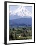 Mount Hood over Houses Scattered amongst Orchards and Firs, Pine Grove, Oregon-Don Ryan-Framed Photographic Print