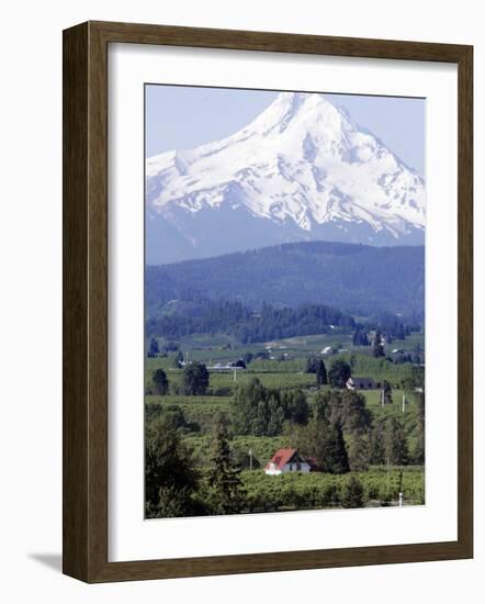 Mount Hood over Houses Scattered amongst Orchards and Firs, Pine Grove, Oregon-Don Ryan-Framed Photographic Print