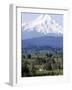 Mount Hood over Houses Scattered amongst Orchards and Firs, Pine Grove, Oregon-Don Ryan-Framed Photographic Print