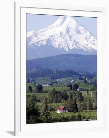 Mount Hood over Houses Scattered amongst Orchards and Firs, Pine Grove, Oregon-Don Ryan-Framed Photographic Print