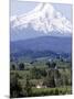 Mount Hood over Houses Scattered amongst Orchards and Firs, Pine Grove, Oregon-Don Ryan-Mounted Photographic Print