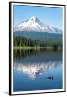 Mount Hood, part of the Cascade Range, perfectly reflected in the still waters of Trillium Lake, Or-Martin Child-Framed Premium Photographic Print