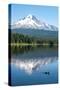 Mount Hood, part of the Cascade Range, perfectly reflected in the still waters of Trillium Lake, Or-Martin Child-Stretched Canvas