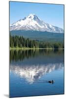 Mount Hood, part of the Cascade Range, perfectly reflected in the still waters of Trillium Lake, Or-Martin Child-Mounted Photographic Print