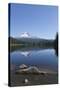 Mount Hood, part of the Cascade Range, perfectly reflected in the still waters of Trillium Lake, Or-Martin Child-Stretched Canvas