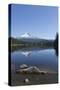 Mount Hood, part of the Cascade Range, perfectly reflected in the still waters of Trillium Lake, Or-Martin Child-Stretched Canvas