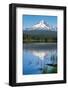 Mount Hood, part of the Cascade Range, perfectly reflected in the still waters of Trillium Lake, Or-Martin Child-Framed Photographic Print