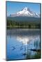 Mount Hood, part of the Cascade Range, perfectly reflected in the still waters of Trillium Lake, Or-Martin Child-Mounted Photographic Print