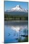 Mount Hood, part of the Cascade Range, perfectly reflected in the still waters of Trillium Lake, Or-Martin Child-Mounted Photographic Print