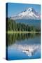 Mount Hood, part of the Cascade Range, perfectly reflected in the still waters of Trillium Lake, Or-Martin Child-Stretched Canvas