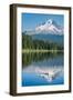 Mount Hood, part of the Cascade Range, perfectly reflected in the still waters of Trillium Lake, Or-Martin Child-Framed Photographic Print