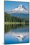 Mount Hood, part of the Cascade Range, perfectly reflected in the still waters of Trillium Lake, Or-Martin Child-Mounted Photographic Print