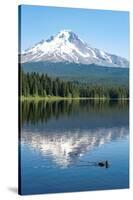 Mount Hood, part of the Cascade Range, perfectly reflected in the still waters of Trillium Lake, Or-Martin Child-Stretched Canvas