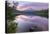 Mount Hood Reflected in Beautiful Trillium Lake-Vincent James-Stretched Canvas