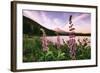 Mount Hood Wildflower View at Trillium Lake, Oregon-Vincent James-Framed Photographic Print