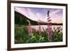 Mount Hood Wildflower View at Trillium Lake, Oregon-Vincent James-Framed Photographic Print