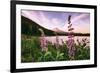 Mount Hood Wildflower View at Trillium Lake, Oregon-Vincent James-Framed Photographic Print