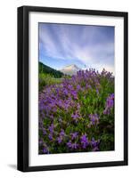 Mount Hood Wildflowers, Central Oregon-Vincent James-Framed Photographic Print