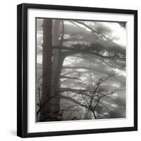 Mount Huangshan, Anhui, China-Ivan Vdovin-Framed Photographic Print