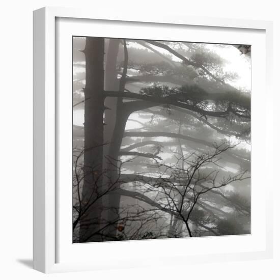 Mount Huangshan, Anhui, China-Ivan Vdovin-Framed Photographic Print