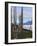 Mount Jumolhari at 7300M Seen Through Prayer Flags from Chelela Pass, Bhutan-Tom Norring-Framed Photographic Print