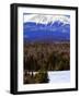 Mount Katahdin Looms in the Background Near Millinocket, Maine-Pat Wellenbach-Framed Photographic Print