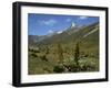 Mount Kenya, with Giant Lobelia in Foreground, Kenya, East Africa, Africa-Poole David-Framed Photographic Print