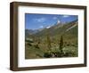 Mount Kenya, with Giant Lobelia in Foreground, Kenya, East Africa, Africa-Poole David-Framed Photographic Print