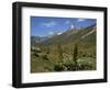 Mount Kenya, with Giant Lobelia in Foreground, Kenya, East Africa, Africa-Poole David-Framed Photographic Print