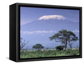 Mount Kilimanjaro, Amboseli National Park, Kenya-Art Wolfe-Framed Stretched Canvas