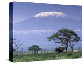 Mount Kilimanjaro, Amboseli National Park, Kenya-Art Wolfe-Stretched Canvas